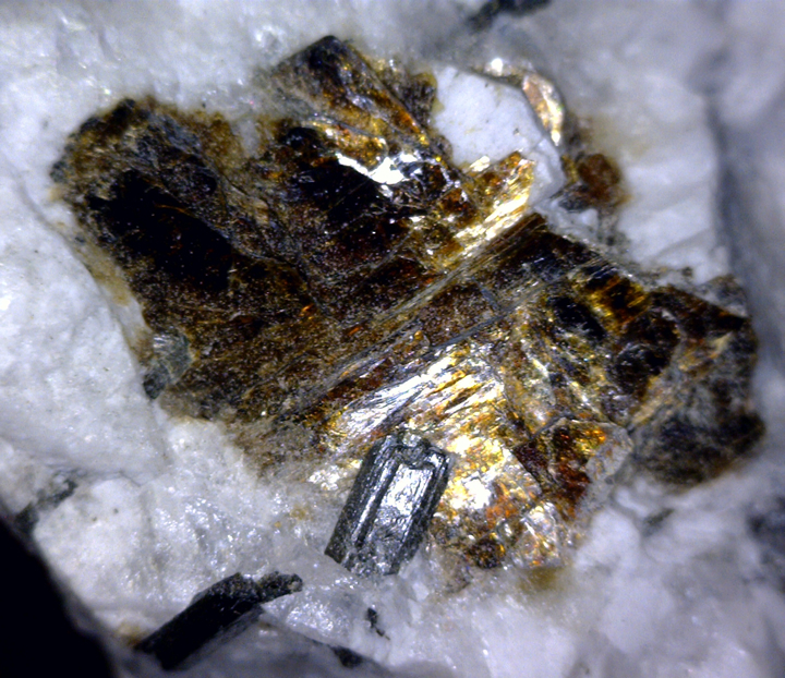 Astrophyllite, Mont Saint-Hilaire, Québec, Canada