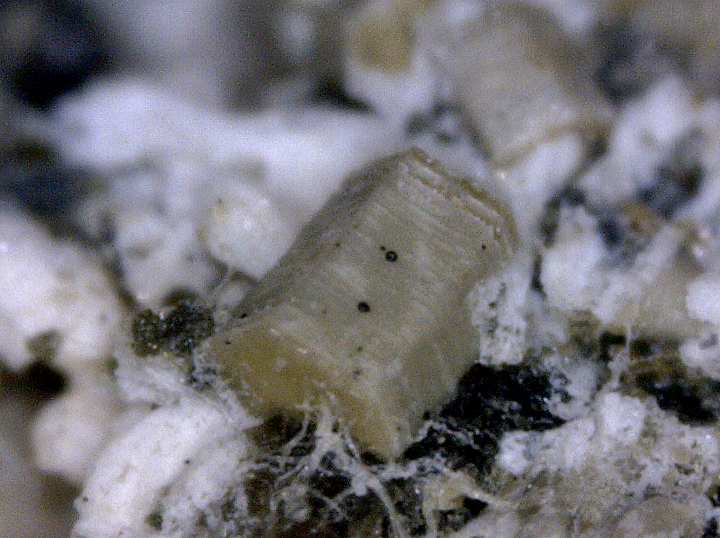 Berthierine with Rhodochrosite and Mica from Mont Saint-Hilaire, Québec, Canada,  ex Ron Waddell 