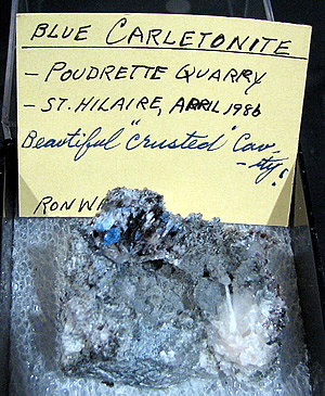 Carletonite (type locality), Mont Saint-Hilaire, Québec, Canada ex Ron Waddell