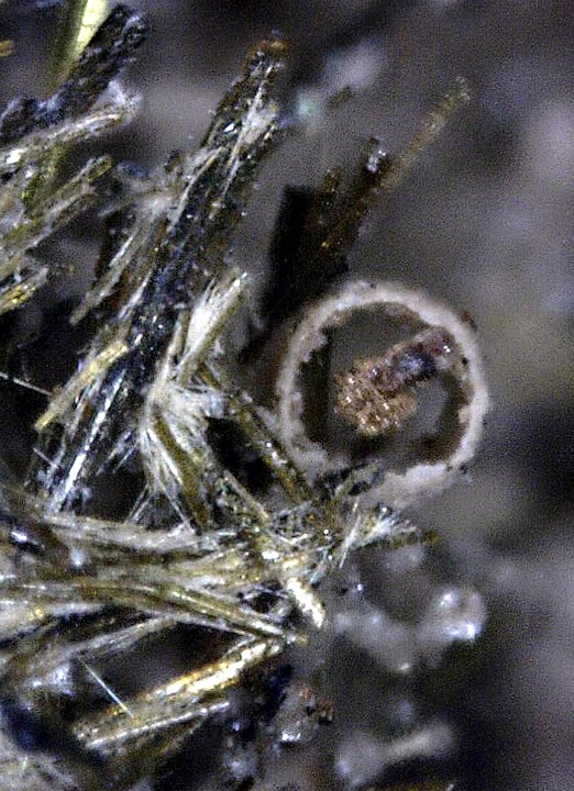 Epididymite on Aegerine, Poudrette Quarry, Mont Saint-Hilaire, Rouville RCM, Montérégie, Québec, Canada