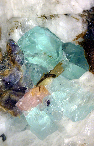Fluorite and Rhodochrosite, Mont Saint-Hilaire, Québec, Canada ex Ron Waddell
