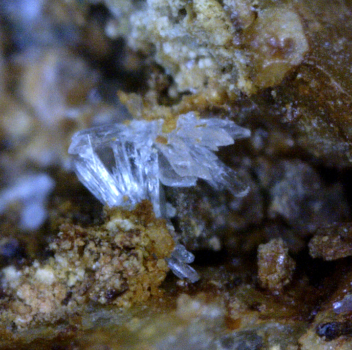 Gypsum, Mont Saint-Hilaire, Québec, Canada ex Ron Waddell