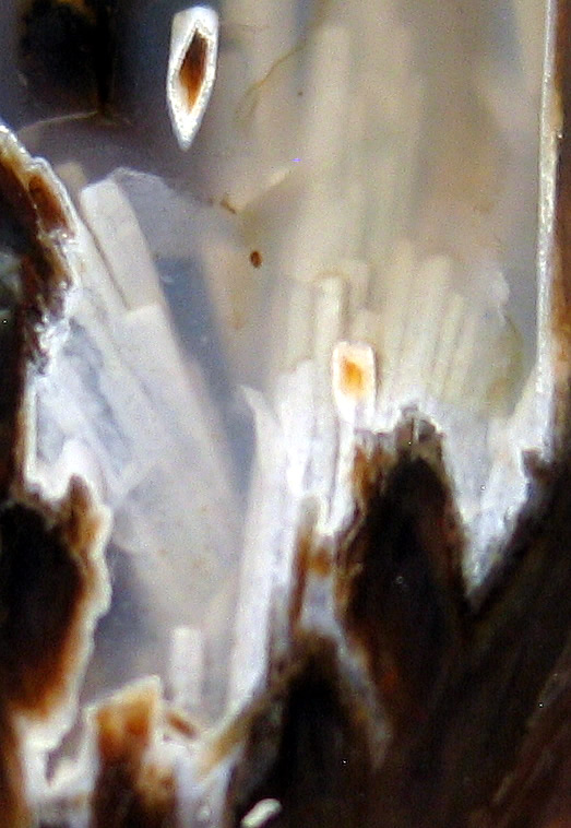 Agate Nodule with Pseudomorphs of Anhydrite, Chubuk, north of Ankara, Ankara Province, Central Anatolia Region, Turkey