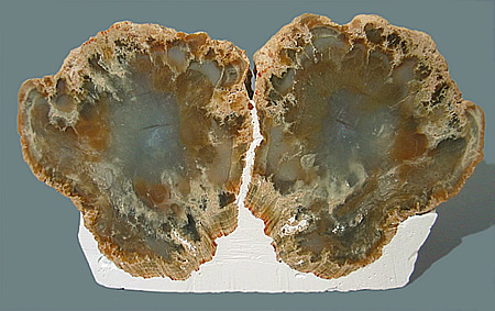 Agate nodule, locality unknown