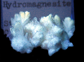 fluorescent Hydromagnesite, Stanislaus County, California in SWUV or LWUV