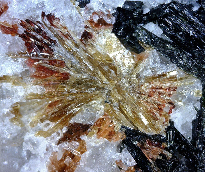 Lamprophyllite, Mont Saint-Hilaire, Québec, Canada ex Ron Waddell