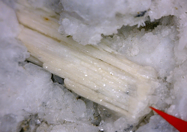 Nenadkevichite and Analcime, Poudrette Quarry, Mont Saint-Hilaire, Rouville RCM, Montérégie, Québec, Canada