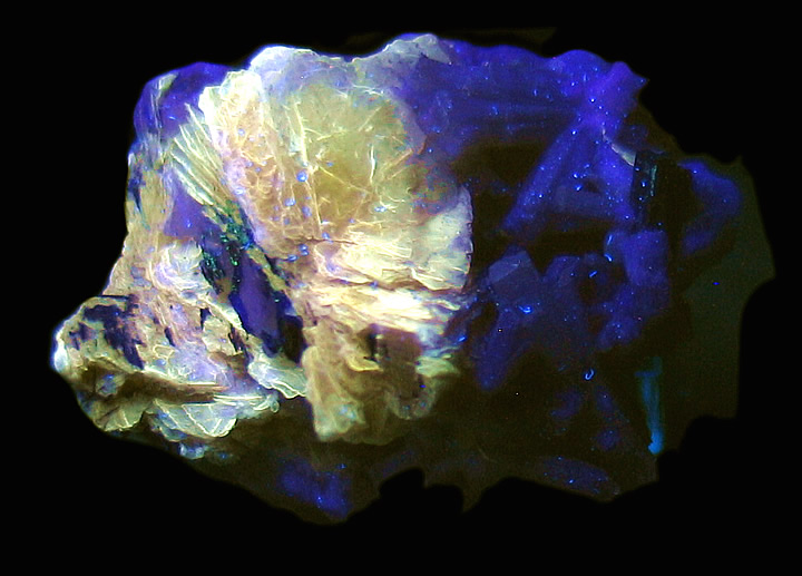 Polylithionite, Natrolite and Aegerine, Mont Saint-Hilaire, Rouville Co., Québec, Canada in SWUV