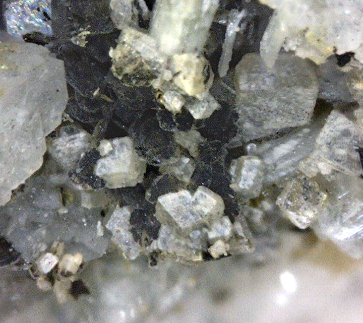 Siderite,  Mont Saint-Hilaire, Québec, Canada ex Ron Waddell