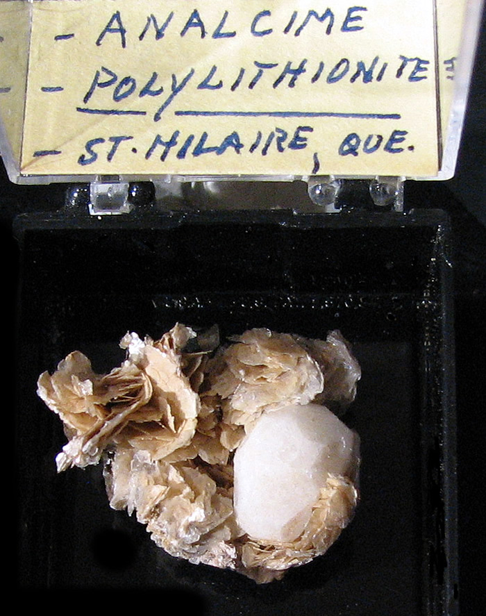 Analcime on Polylithionite, Mont Saint-Hilaire, Québec, Canada ex Ron Waddell