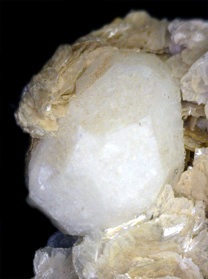 Analcime on Polylithionite, Mont Saint-Hilaire, Québec, Canada ex Ron Waddell