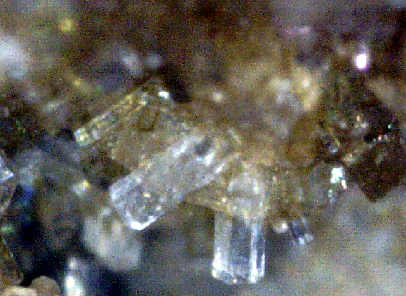 Fluorapatite, Mont Saint-Hilaire, Québec, Canada ex Ron Waddell