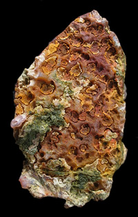 "Cathedral" Agate ex Al Rose, San Carlos, Mun. de Manuel Benavides, Chihuahua, Mexico, back side