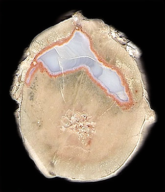 Thunderegg-Agate, Mont Lyall, Sainte-Anne-des-Monts, Gaspésie-Îles-de-la-Madeleine, Québec, Canada