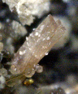 Bastnäsite, Nenadkevichite and Aegerine, Poudrette Quarry, Mont Saint-Hilaire, Rouville RCM, Montérégie, Québec, Canada