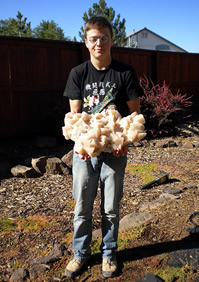 Calcite, Dongpo ore field, Yizhang Co., Chenzhou Prefecture, Hunan Province, China