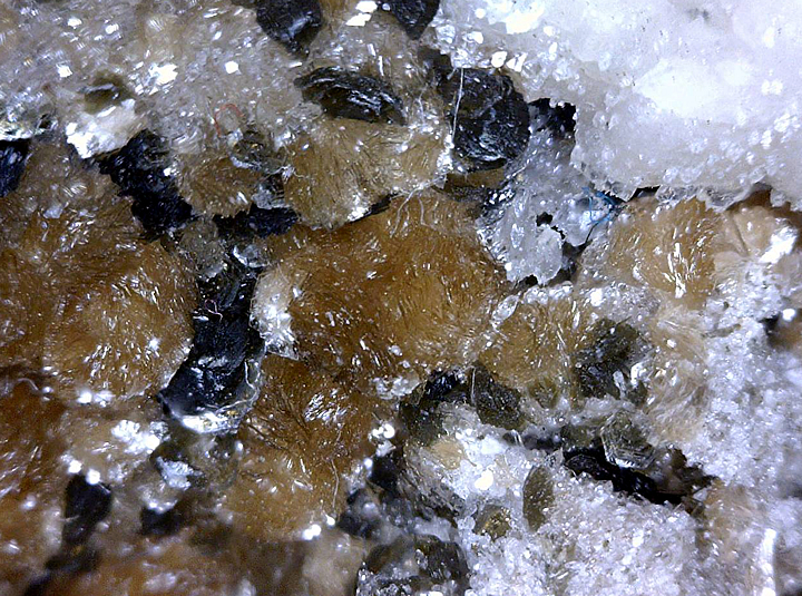 Chlorite, Mont Saint-Hilaire, Québec, Canada ex Ron Waddell