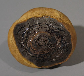 Opal variety Yowah Nut in Ironstone, Yowah opal field, Paroo Shire, Queensland, Australia