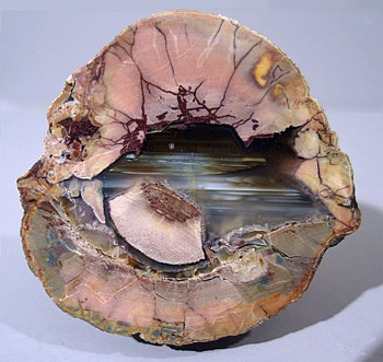 Agate in Rhyolite Nodule, Madagascar