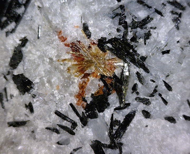 Lamprophyllite, Mont Saint-Hilaire, Québec, Canada ex Ron Waddell