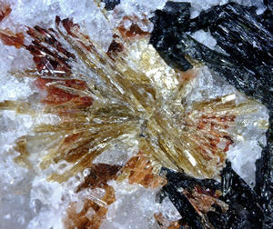 Lamprophyllite, Mont Saint-Hilaire, Québec, Canada ex Ron Waddell