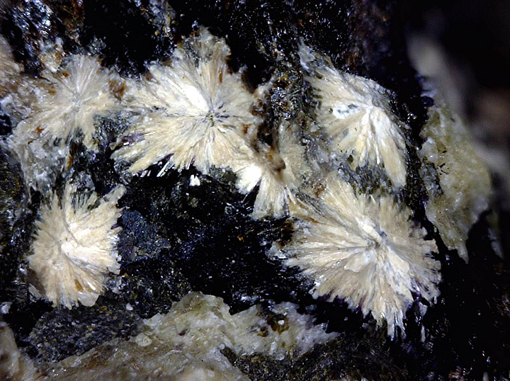 Mosandrite and Fluorite, Mont Saint-Hilaire, Québec, Canada ex Ron Waddell