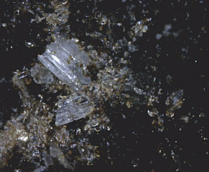 Nenadkevichite, Zircon, Albite and Chamosite, Poudrette Quarry, Mont Saint-Hilaire, Rouville RCM, Montérégie, Québec, Canada