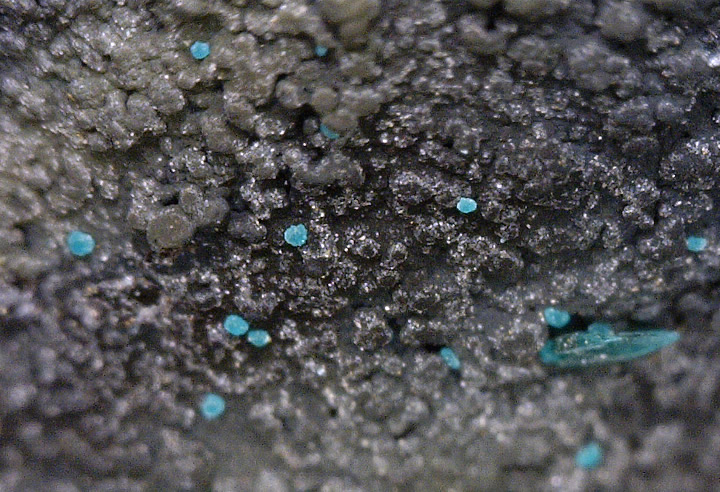 Pseudomalachite, Manto Cuba Mine, San Pedro de Cachiyuyo District, Inca de Oro, Chañaral Province, Atacama Region, Chile