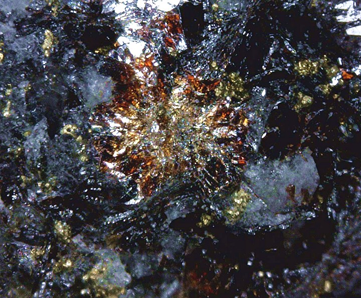 Pyrophanite, Mont Saint-Hilaire, Québec, Canada ex Ron Waddell