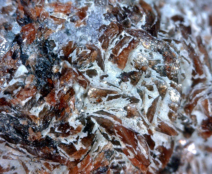 Rhodochrosite, Mont Saint-Hilaire, Québec, Canada ex Ron Waddell