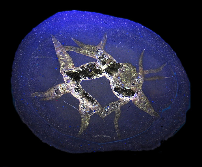 Barite Septarian Nodule in SWUV,  Arnayon Mine, Drôme , France