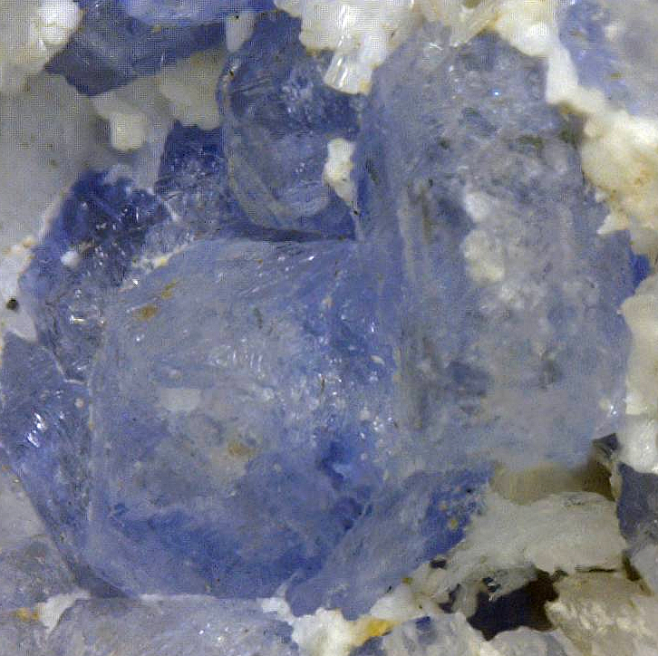 Tenebrescent Sodalite, Mont Saint-Hilaire, Québec, Canada ex Ron Waddell